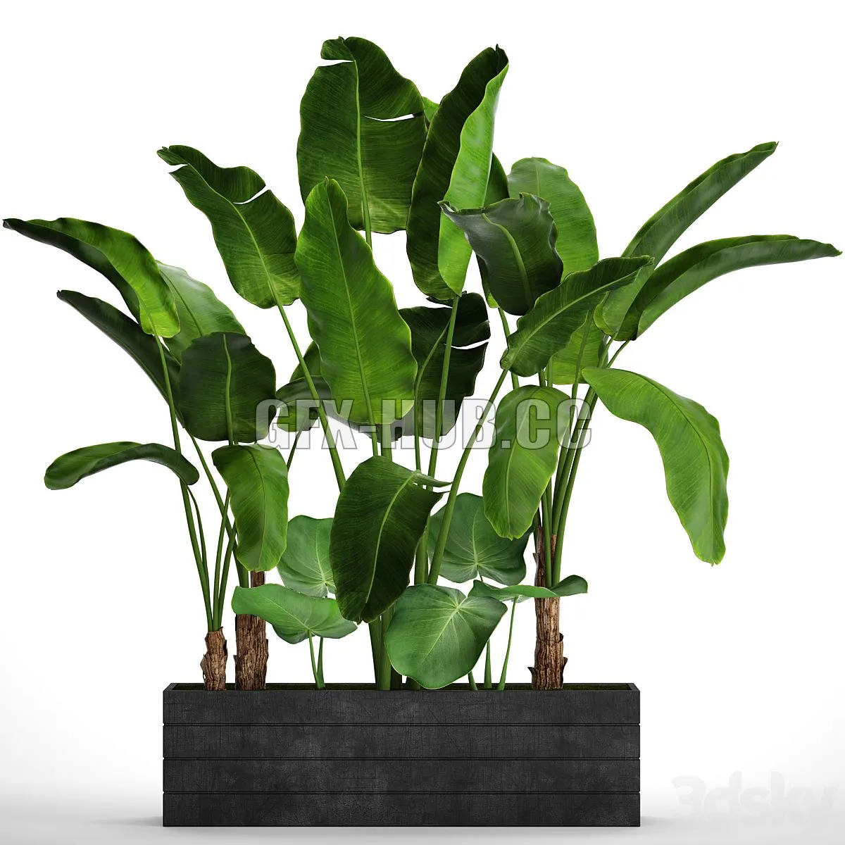 Collection of plants 73 3D Model