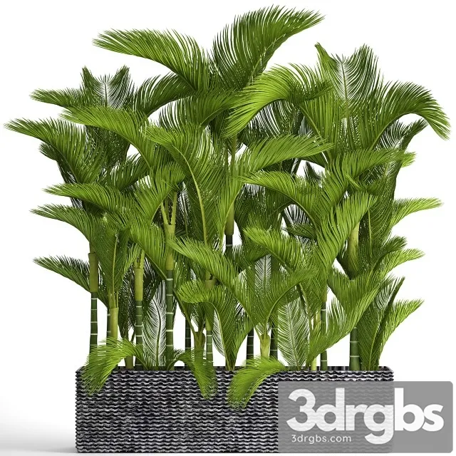 Collection Of Plants 88 3D Model Free
