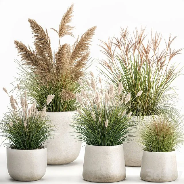 Collection of plants for landscape Set 1094 3D Model