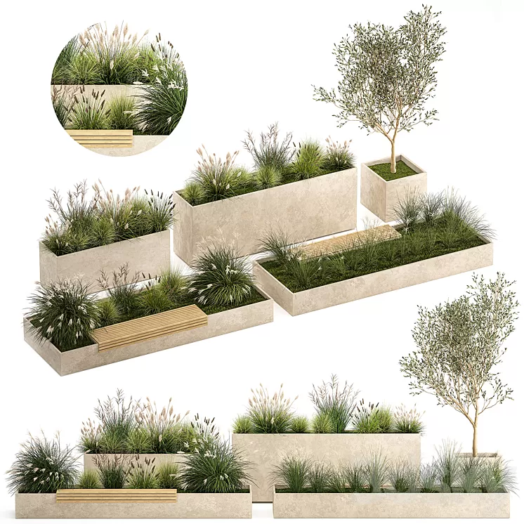 Collection of plants for the urban environment with a flower bed a bench and concrete outdoor flowerpots bushes and grass Miscanthus olive tree garden. 1141. 3D Model Free