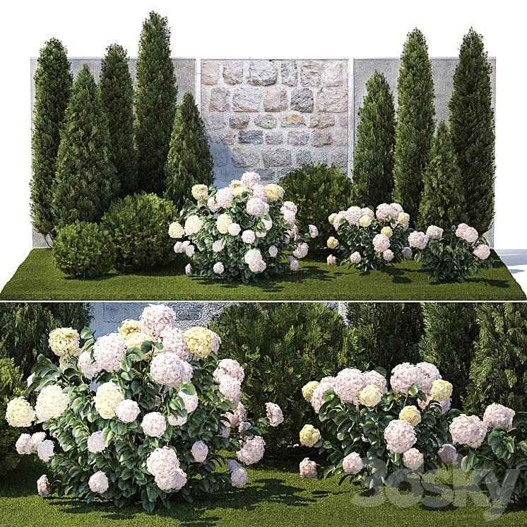 Collection of plants garden with bushes and trees for landscape design with thuja cypress flowering Hydrangea white. Set 1378. 3D Model Free