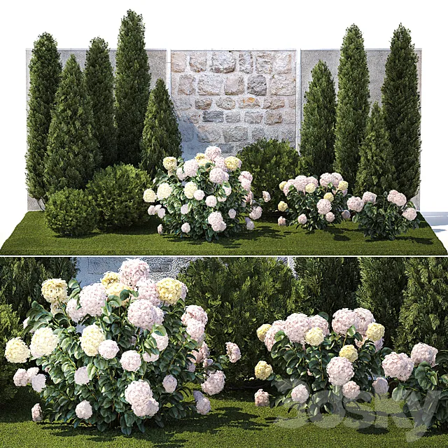 Collection of plants garden with bushes and trees for landscape design with thuja cypress flowering Hydrangea white. Set 1378. 3D Model