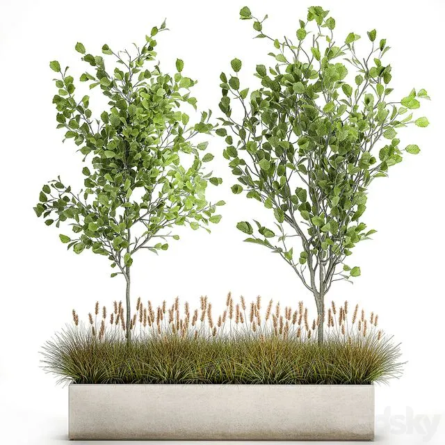Collection of plants in a pot 1066 3D Model