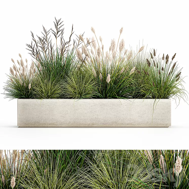 Collection of plants in a pot with pampas grass reeds flowerbed bushes landscaping. Set 1076. 3D Model Free