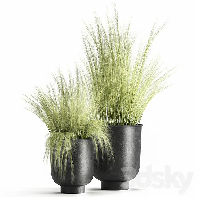 Collection of plants in black metal pots with bush grass grass. Set 1004. 3DModel