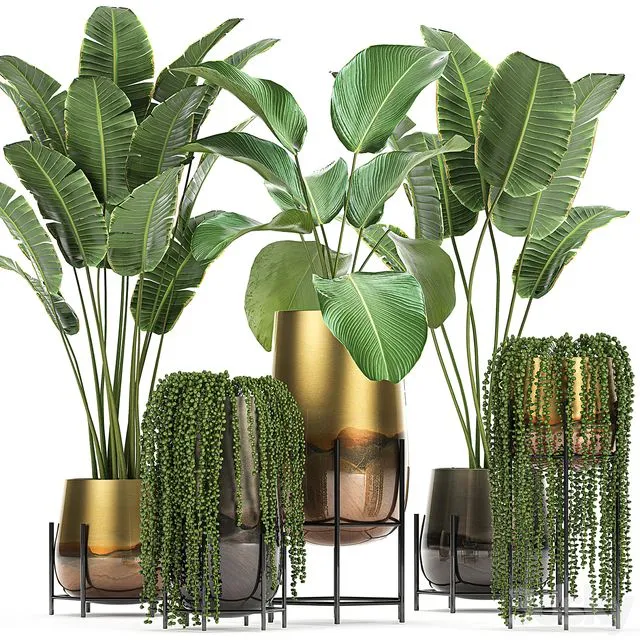 Collection of plants in golden pots Set 768 3D Model