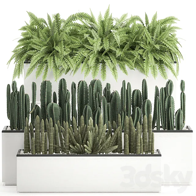 Collection of plants in outdoor white potted flower beds with bushes of fern. Cereus. Sansevieria. cactus. Set 584. 3DModel