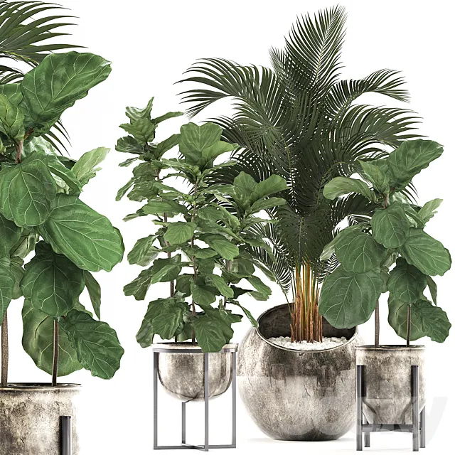 Collection of plants in stylish modern pots with round flowerpot with Palm Ficus lyrata pot luxury. Set 474. 3D Model