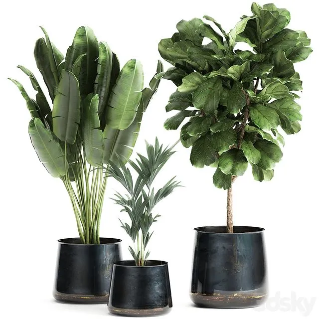 Collection of plants in stylish pots Set 873 3D Model