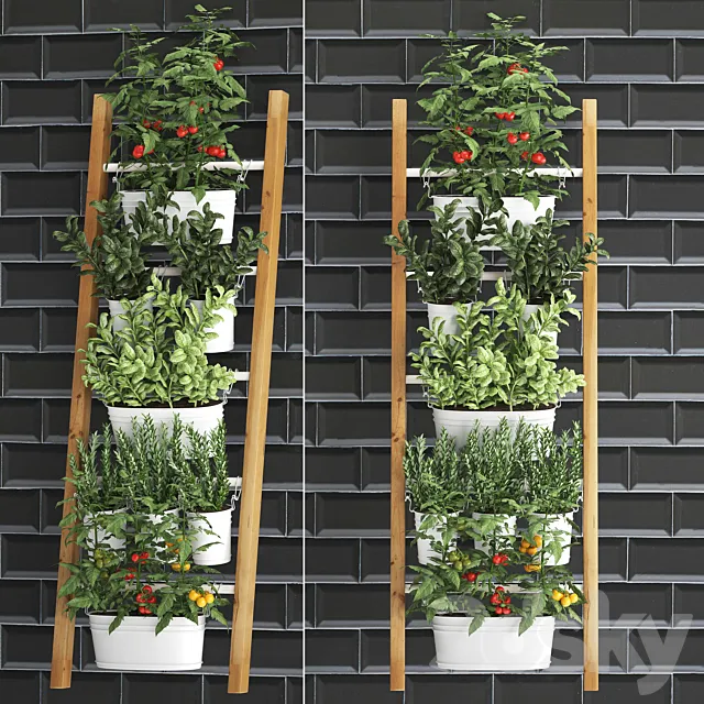 Collection of plants kitchen garden vegetable garden in pots buckets railing ladder black tile apron with vegetables tomatoes rosemary basil Vertical landscaping. Set 35. 3D Model