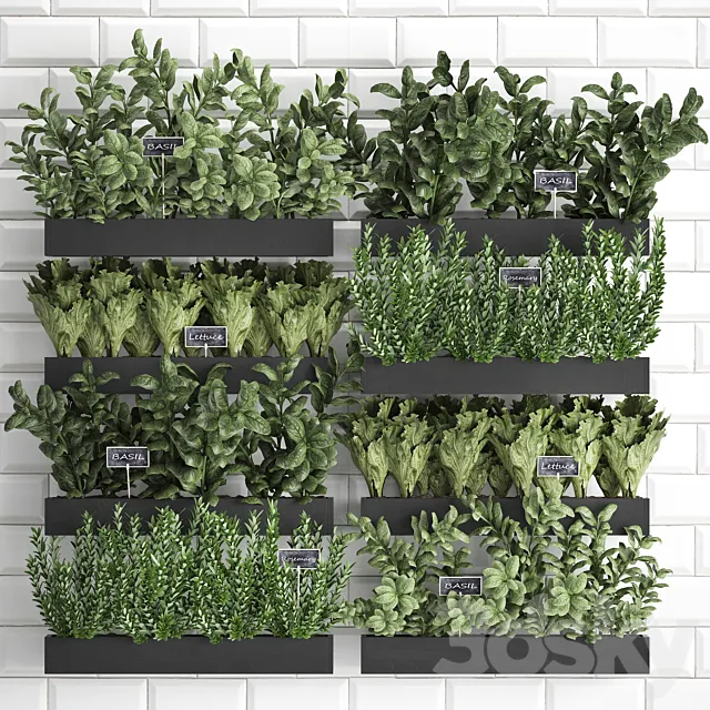 Collection of plants kitchen garden vegetable garden in wooden wall pots garden bed with white tiles apron with vegetables rosemary basil lettuce Vertical gardening. Set 38. 3D Model