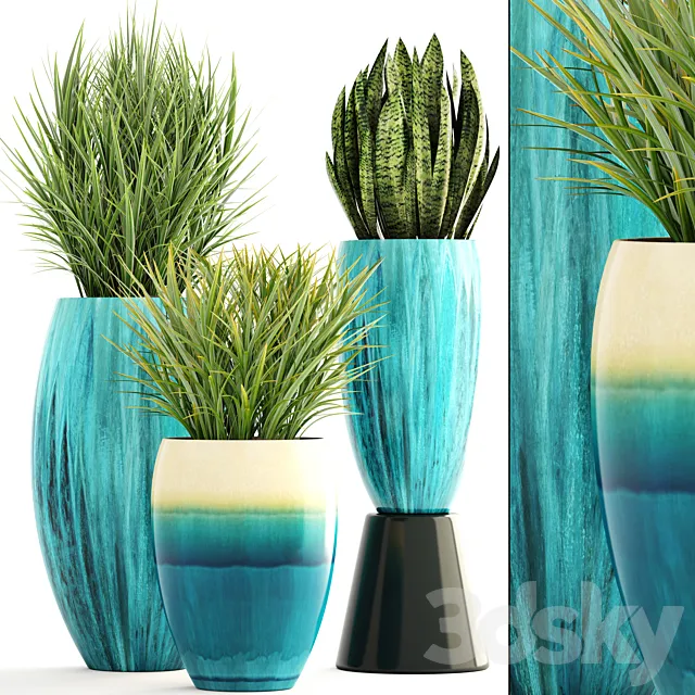 Collection of plants. Pot flowerpot street decor landscape design bush grass sansevieria turquoise interior decorative Chlorophytum 3D Model
