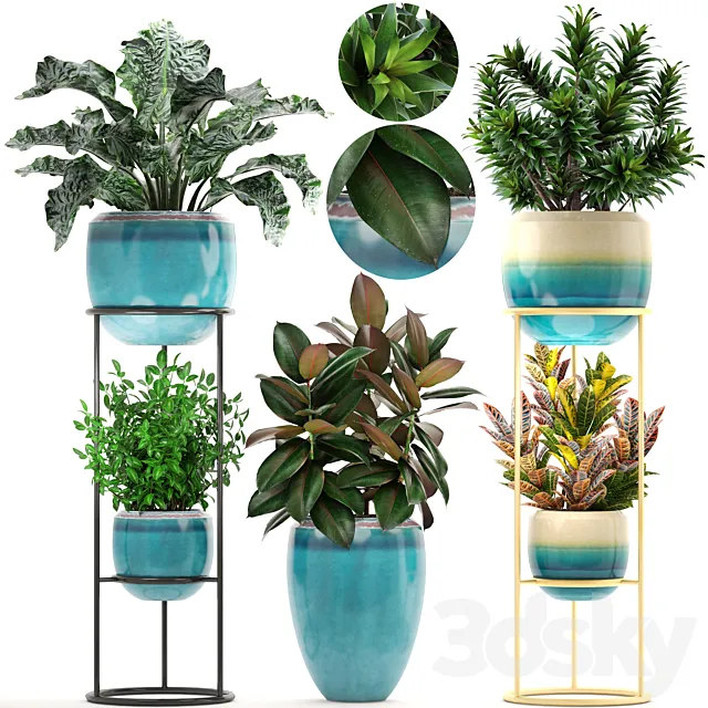 Collection of plants. Shelf with flowers. flower stand. pot. ficus. croton. alocasia. flowerpot. dracaena 3DModel