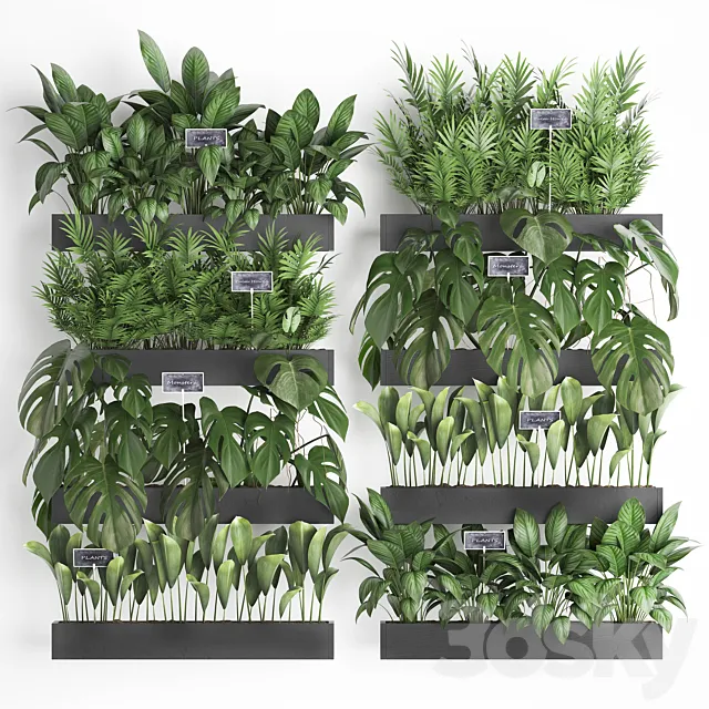 Collection of plants vertical gardening in wooden wall-mounted black pots shelves with monstera areca palm bush. Set 41. 3D Model