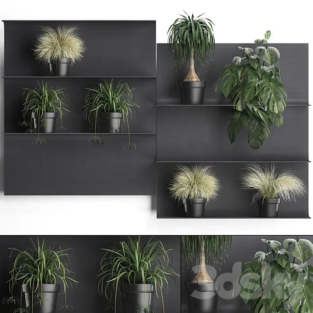 Collection of small plants black metal shelf with flowers in pots with monstera. dracaena. Chlorophytum. grass grass. Set of 50. 3DModel