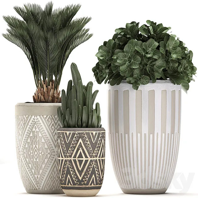 Collection of small plants in ethnic aged pots with Cactus Date palm flower. Set 476. 3D Model