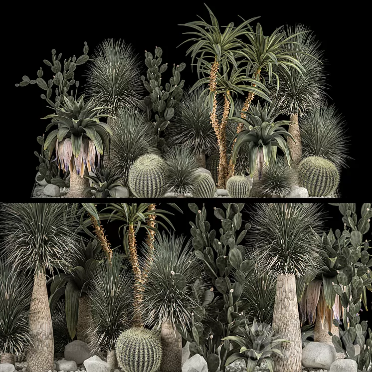 Collection of tropical plants of the desert 1117. cactus yucca prickly pear thickets bushes garden dracaena 3D Model Free