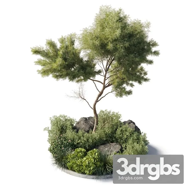 Collection Outdoor Indoor 81 Pot Plant Tree Bush Fern The Garden Pot Corona 3D Model Free