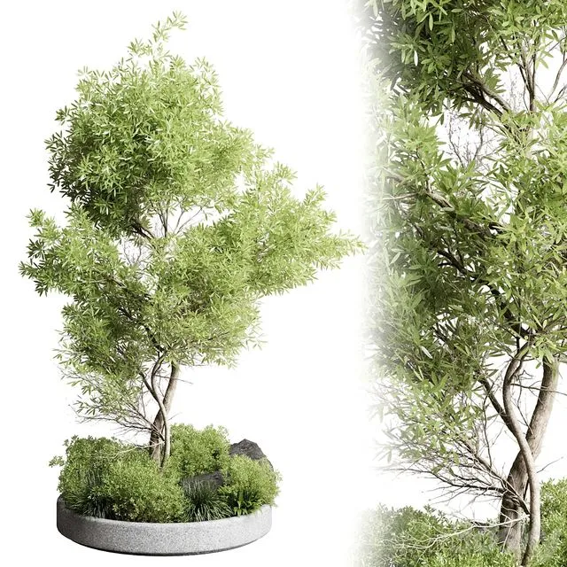 Collection outdoor indoor 85 pot plant & tree & bush 3D Model
