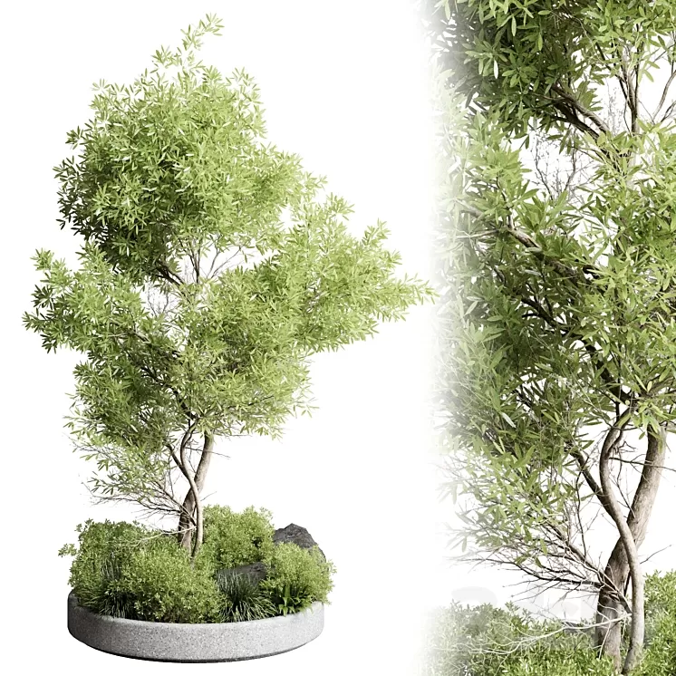 Collection outdoor indoor 85 pot plant & tree & bush 3D Model Free