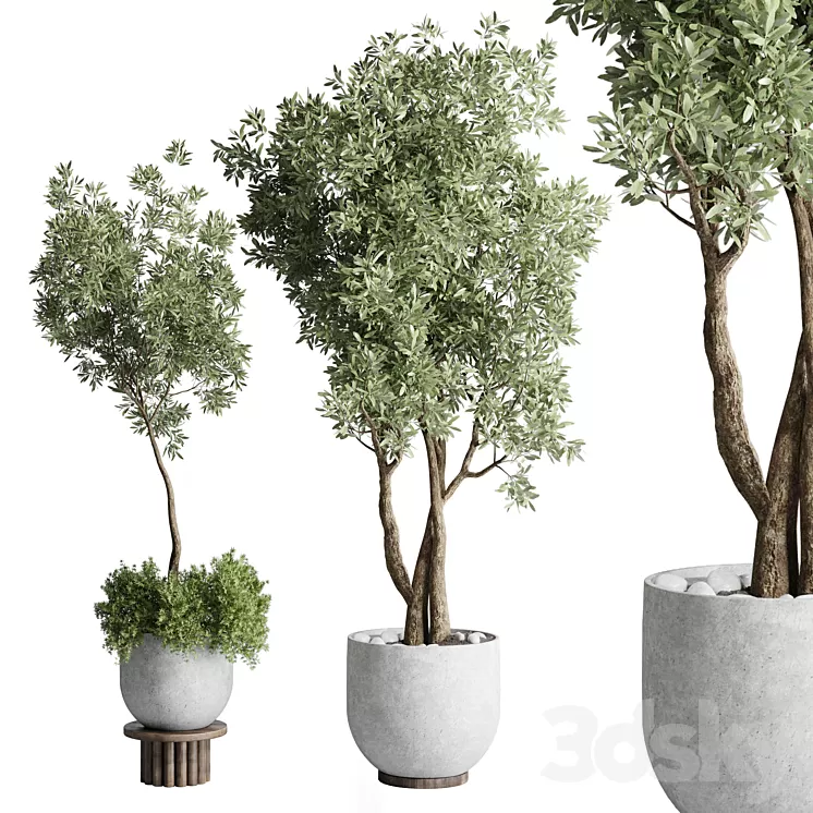 Collection Outdoor Indoor plant 52 concrete dirt vase pot tree 3D Model Free
