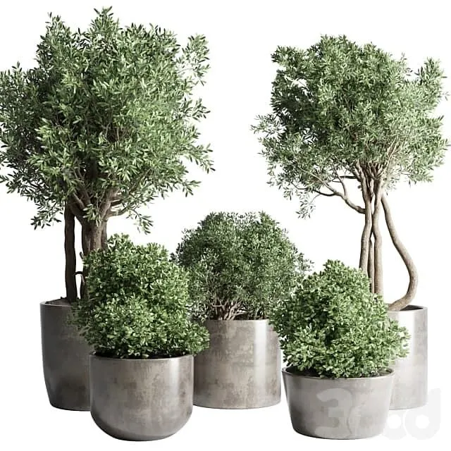 Collection Outdoor Indoor plant 53 concrete dirt vase pot tree bush 3D Model