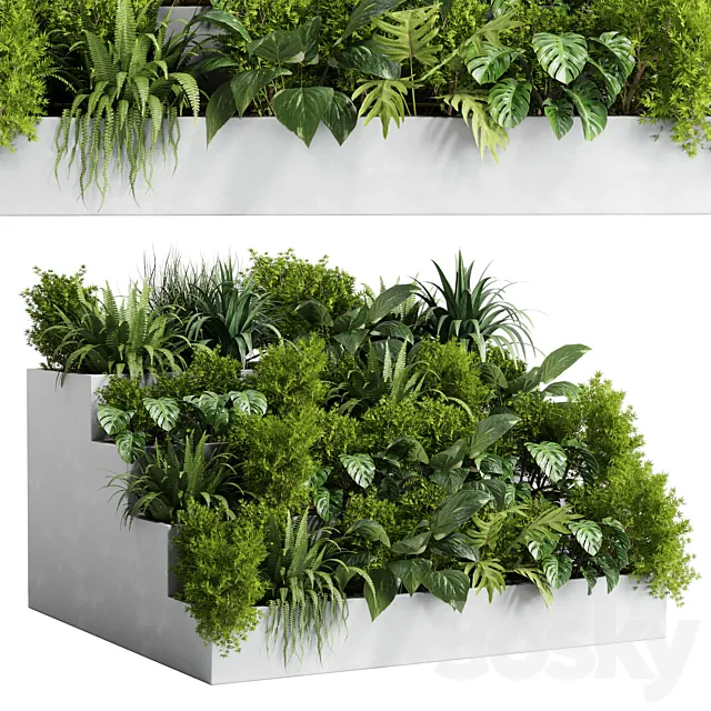 Collection outdoor indoor plant 54 stairs concrete vase pot fern bush grass ficus rubbery 3DModel