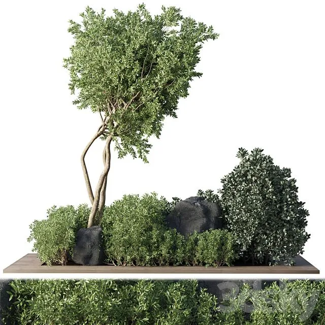 Collection Outdoor Indoor plant 67 3D Model