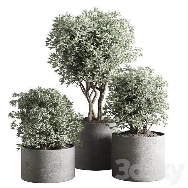 collection outdoor plant 24 concrete vase 3D Model