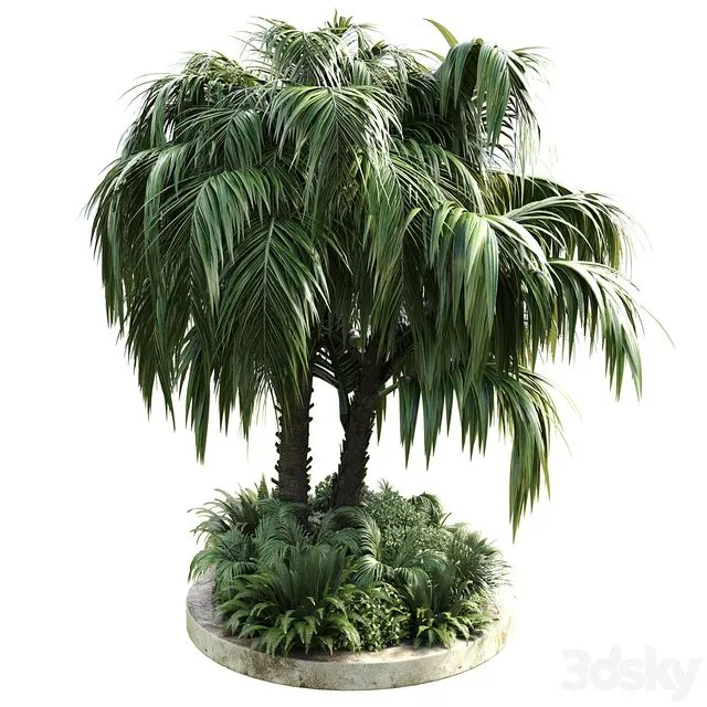 Collection Outdoor plant 39 3D Model