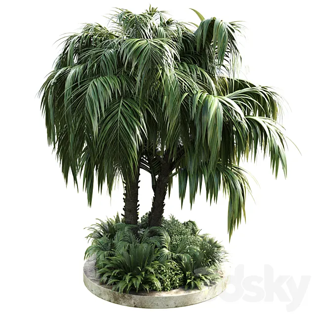 Collection Outdoor plant 39 in garden pot tree palm bush fern concrete dirt old vase 3D Model