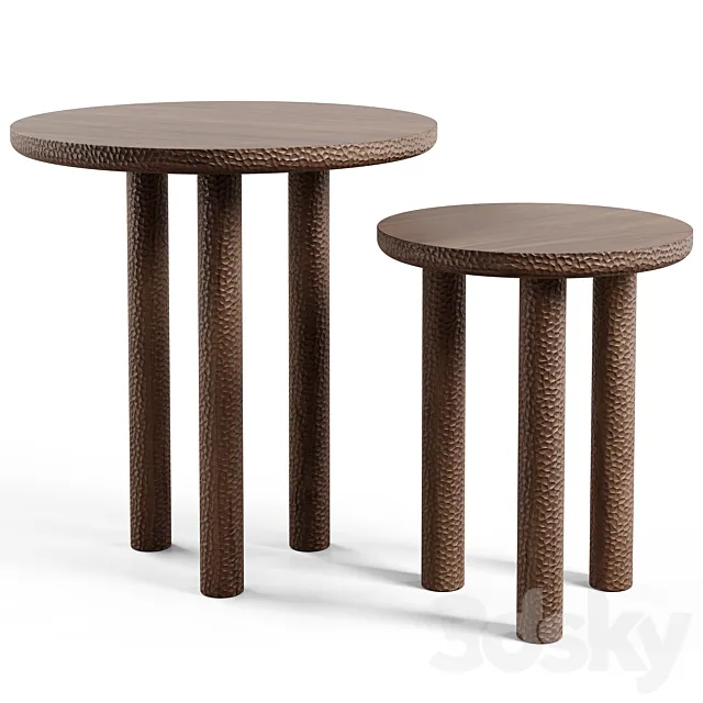 Collection Particuliere - ROSAE by Goula and Figuera 3D Model