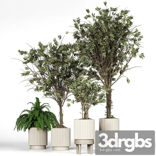 Collection plant 05 3D Model Free