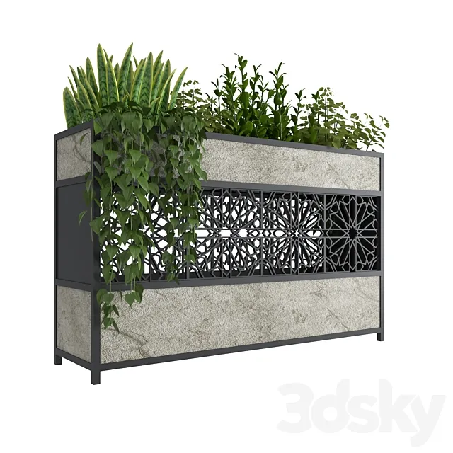 Collection plant 19 3D Model