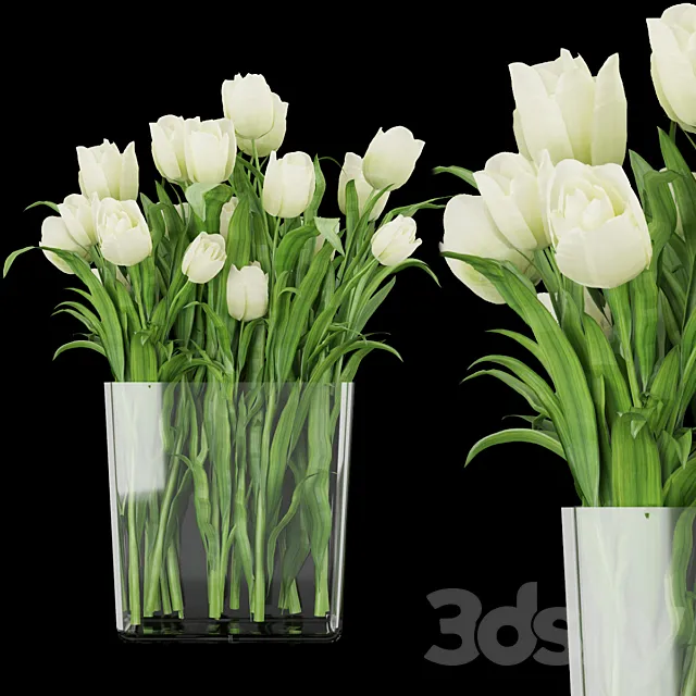 Collection plant vol 119 3D Model