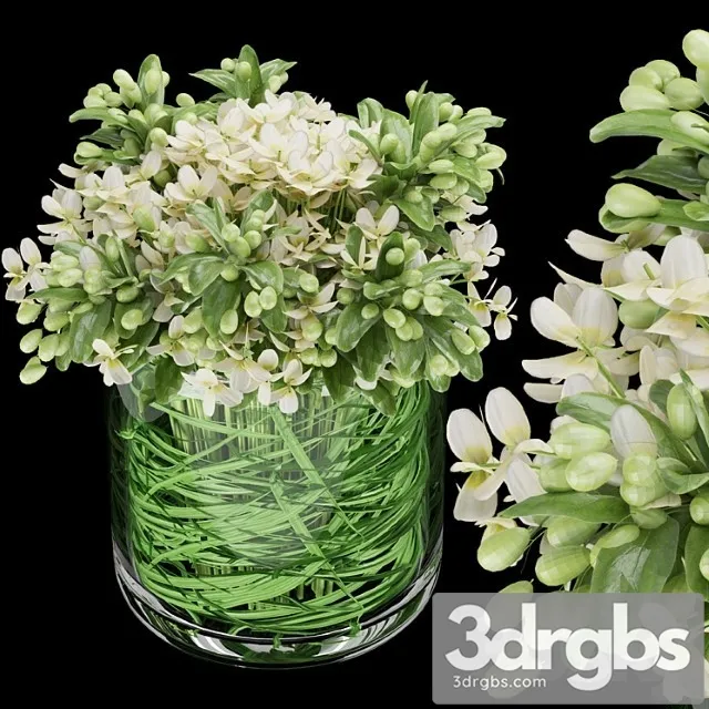 Collection Plant Vol 123 3D Model Free