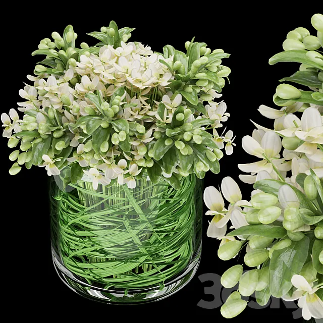 Collection plant vol 123 3D Model