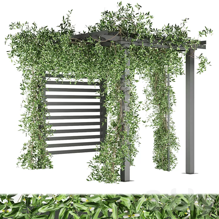 Collection plant vol 143 3D Model