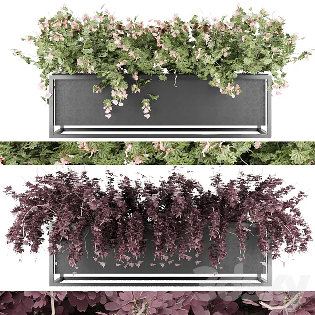 Collection plant vol 15 3DModel