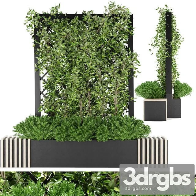 Collection Plant Vol 16 3D Model Free