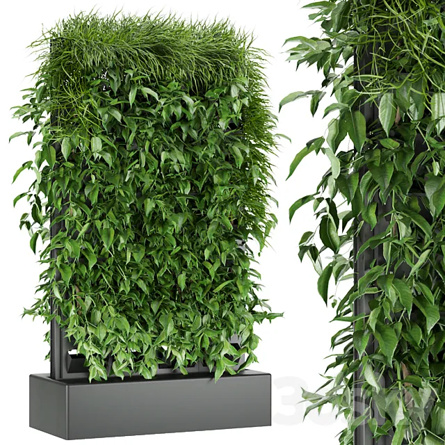 Collection plant vol 168 3D Model