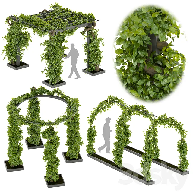 Collection plant vol 269 -Fitowall - garden - ertical 3D Model