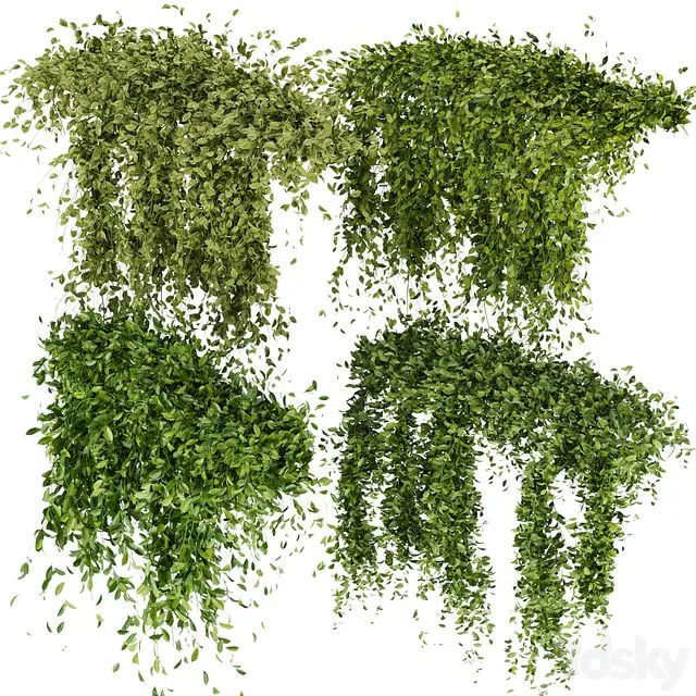 Collection Plant Vol 293 - Fitowall - Leaf - Ivy 3D Model