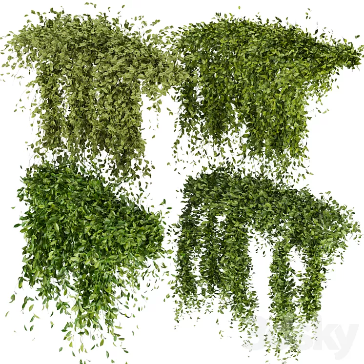 Collection Plant Vol 293 - Fitowall - Leaf - Ivy 3D Model Free