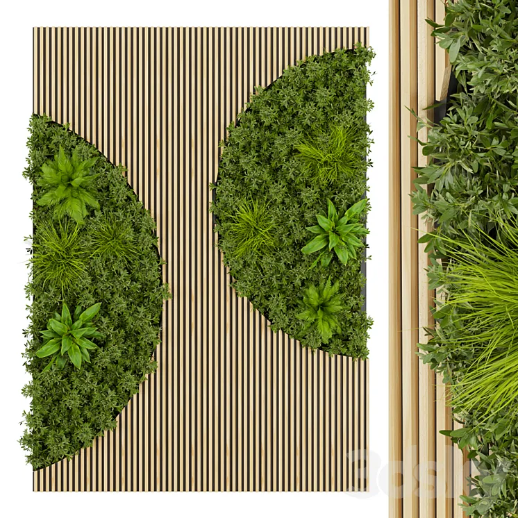 Collection plant vol 331 - fitowall - leaf 3D Model Free