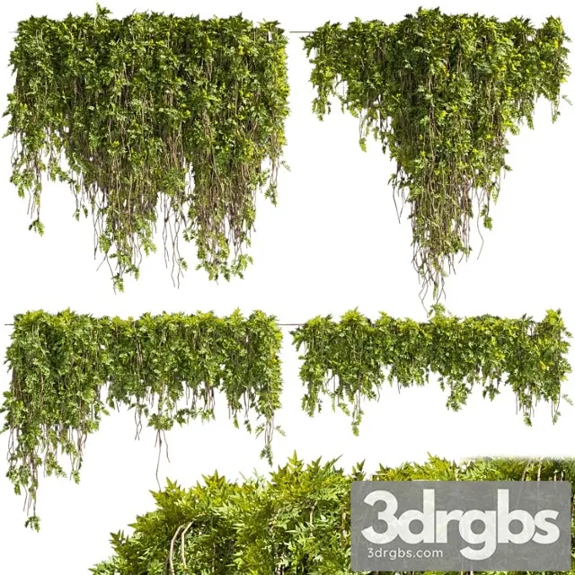 Collection Plant Vol 425 Free Download