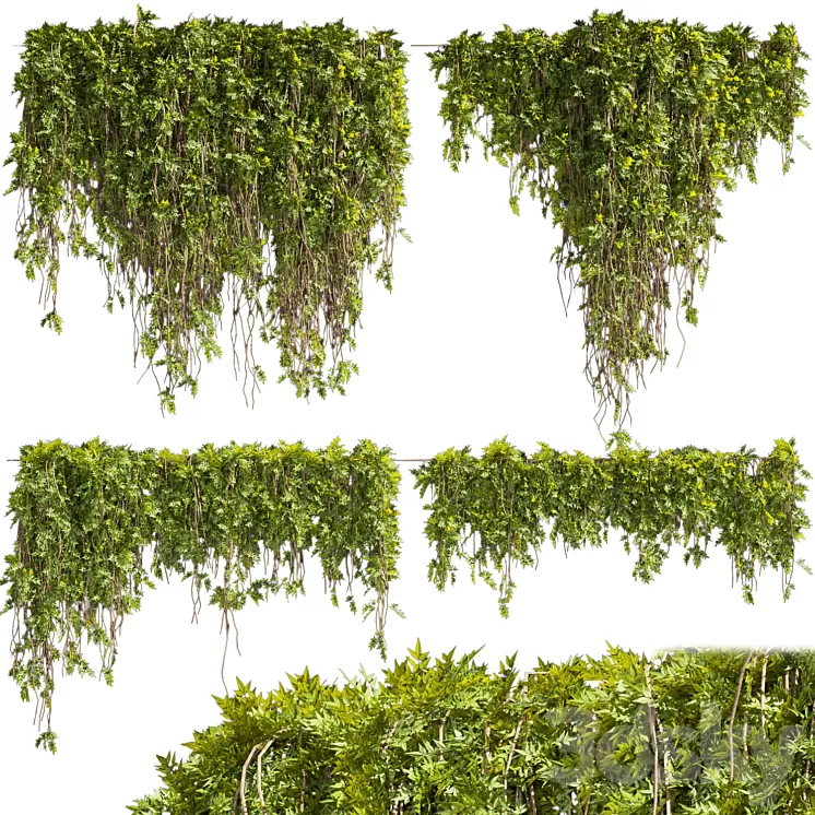 Collection plant vol 425 3D Model Free Download