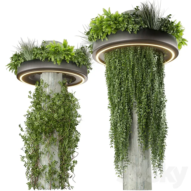 Collection plant vol 532 - bush - ampelous - column - fitowall - ivy 3D Model