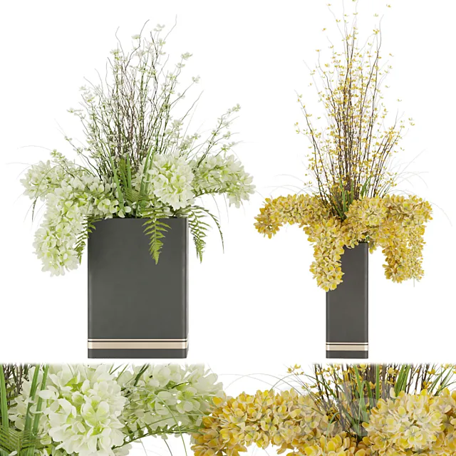 Collection plant vol 56 3D Model