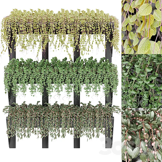 Collection plant vol 8 3D Model